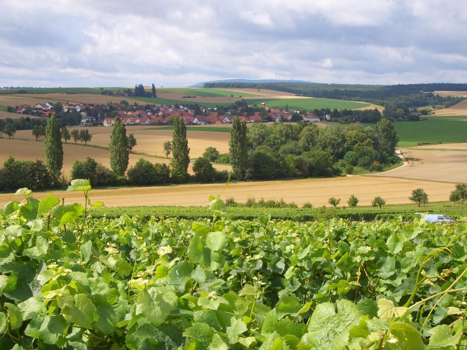 Pension Und Weingut Hirschhof Offenheim Экстерьер фото